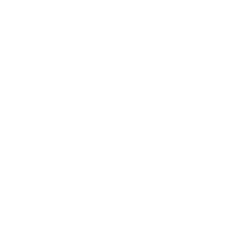 Capital Brokers